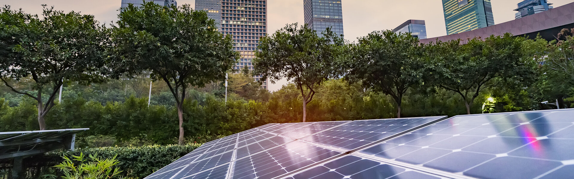 Manage Your Energy The Smart Way